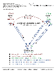 Distributed Processing System