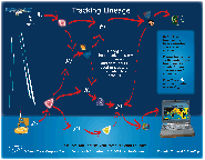 Tracking Lineage Diagram